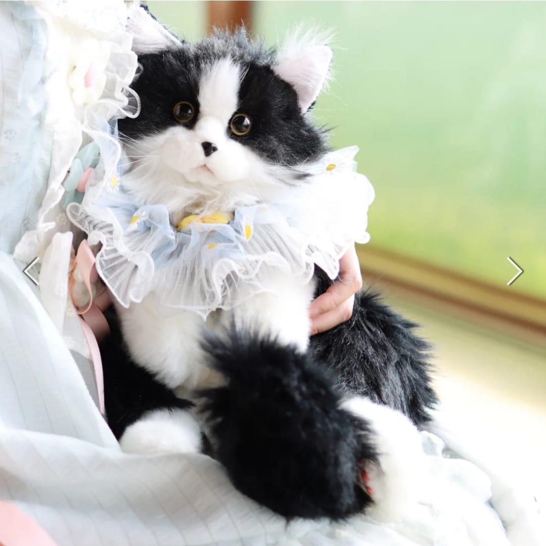 Cat Backpack – Cozy Companion for Travel & School